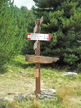 TM_Viso_2015-063