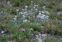 TM_Viso_2015-087