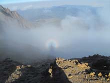 Ecuador_0774_16_Illizina_N