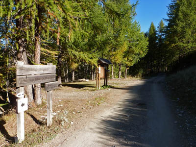 Inizio decauville