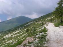 Valmala_Colle_Bicocca_13_35