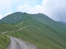 Valmala_Colle_Bicocca_13_61