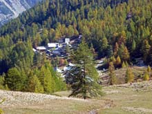 La_Draye_F_Lenlon_F_Olive_14_86b