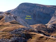 Demonte_C_Valcavera_Salsas_blancias_Moriglione_14_058