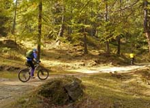 MTB_Chiomonte_A_Arguel_15_17