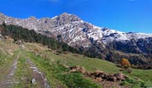 MTB_S_Didero_A_Combe_15_11a_colle_Coupe