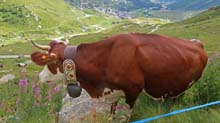 Rif_Duca_Abruzzi_orionde_21_44