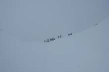 Lofoten_18_429_Torskmannen_740
