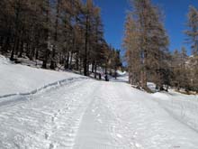 Colletto_Verde_V_Mandarini_12_54