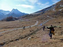 M_Pintas_P_Alpe_11_46_D