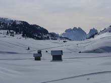 Forcella_Pin_17_07b