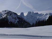 Forcella_Pin_17_07c