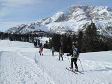 Forcella_Pin_17_09