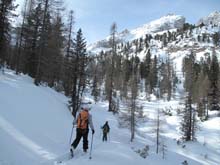Forcella_Pin_17_17