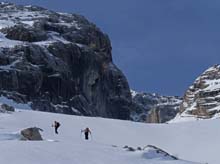 Forcella_Pin_17_21d