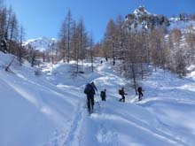 M_Corno_14_24