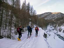 Cima_Bosco_Bousson_09_02_Bousson