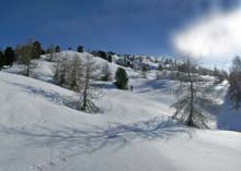 Cima_Bosco_Bousson_09_16_sopra_bosco