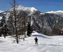 Cima_Bosco_Bousson_09_35_D