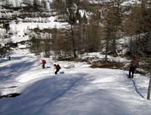 Cima_Bosco_Bousson_09_44_D