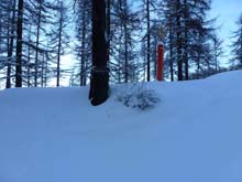 M_Genevris_Sauze_Oulx_14_15