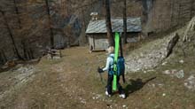M_Vin_Vert_23_72