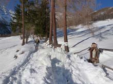 P_Gardiol_Tr_Desertes_14_017