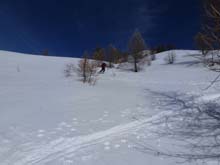 P_Gardiol_Tr_Desertes_14_038
