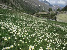 Cima_Fremamorta_11_88_D