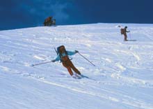 Caricatore_03_D_36_86_87_Sautron_21_colle_Sautron_discesa_Federica