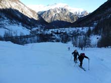 Soleglio_bue_Q_2413_Chialvetta_13_04
