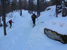 Soleglio_bue_Q_2413_Chialvetta_13_07