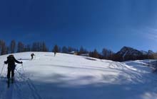 Soleglio_bue_Q_2413_Chialvetta_13_11_Gr_Usseria