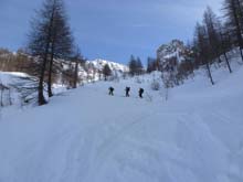 Soleglio_bue_Q_2413_Chialvetta_13_26