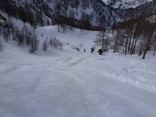 Soleglio_bue_Q_2413_Chialvetta_13_57