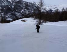 Soleglio_bue_Q_2413_Chialvetta_13_64
