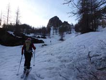 Colletto_P_Loson_15_14