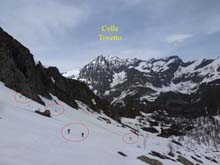 Colletto_P_Loson_15_71