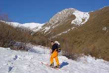 M_Colombo_06_ettore